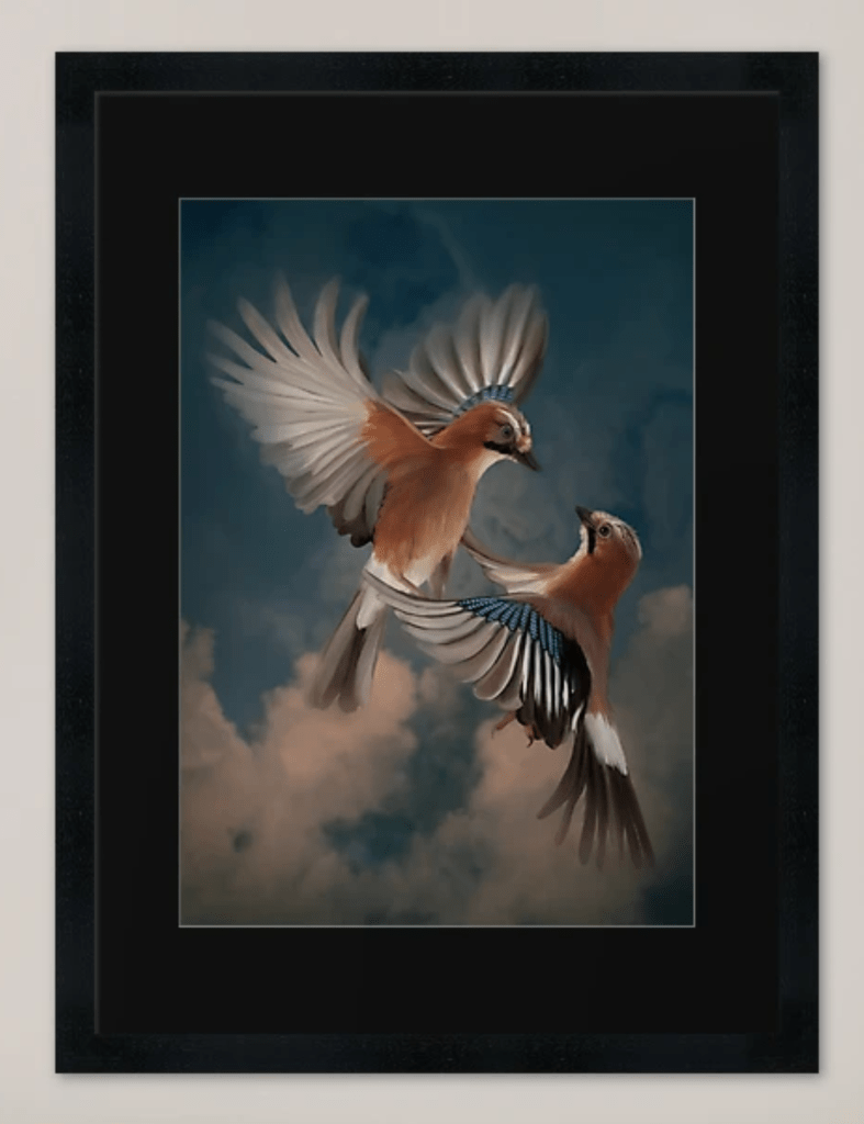 Framed image in black frame. Two Eurasian jaybirds flying up into the clouds together. They're looking at each other, wings spread, playful dynamics. 