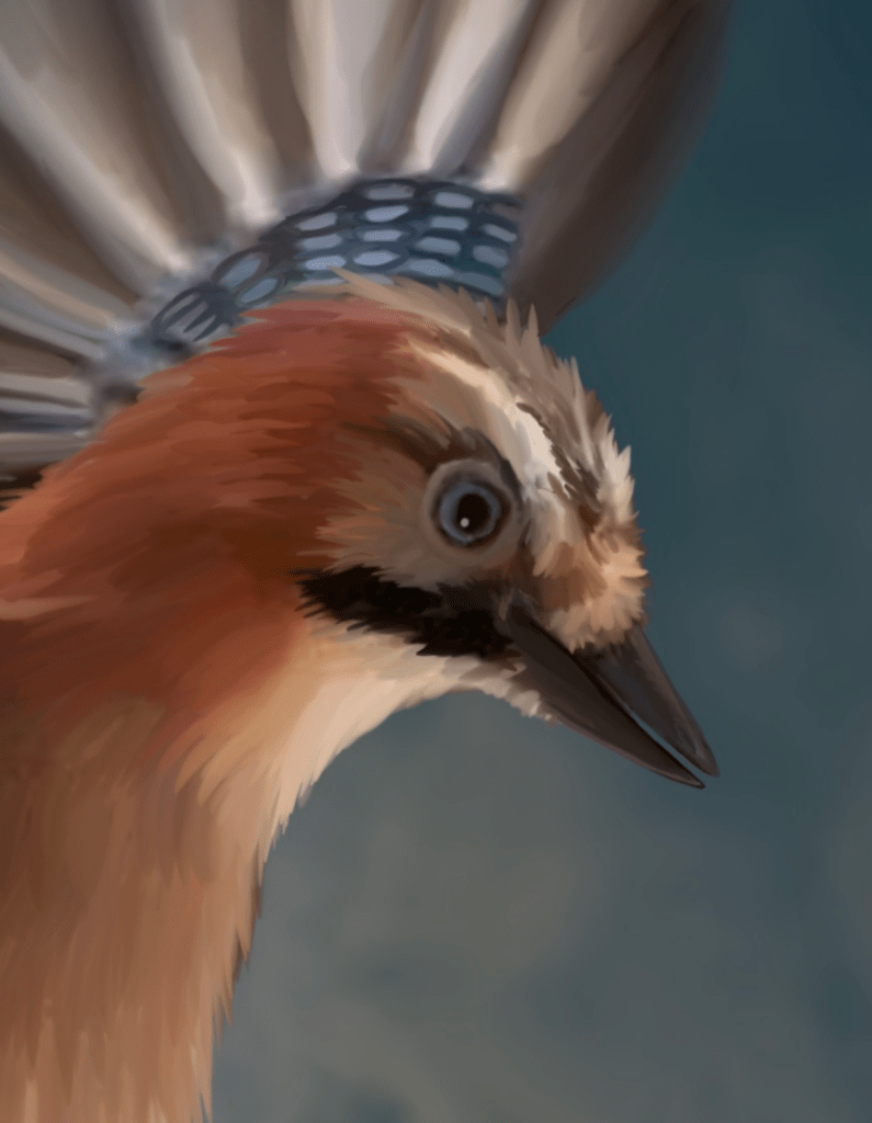 First jaybird head. Fluffy top of the head, beige colouring, some blue striped feathers. 