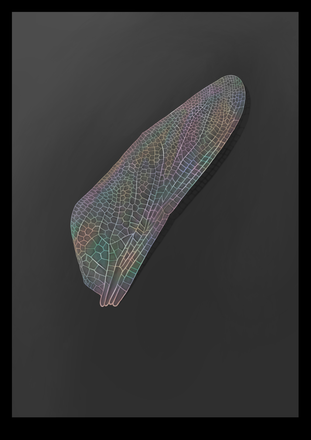 ArtPrint: Iridescent Flight