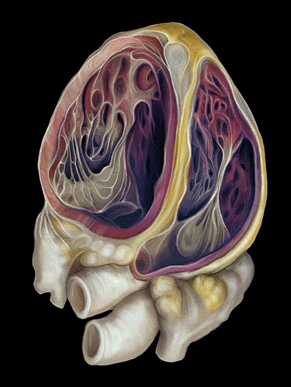 Happy Valentine’s Day