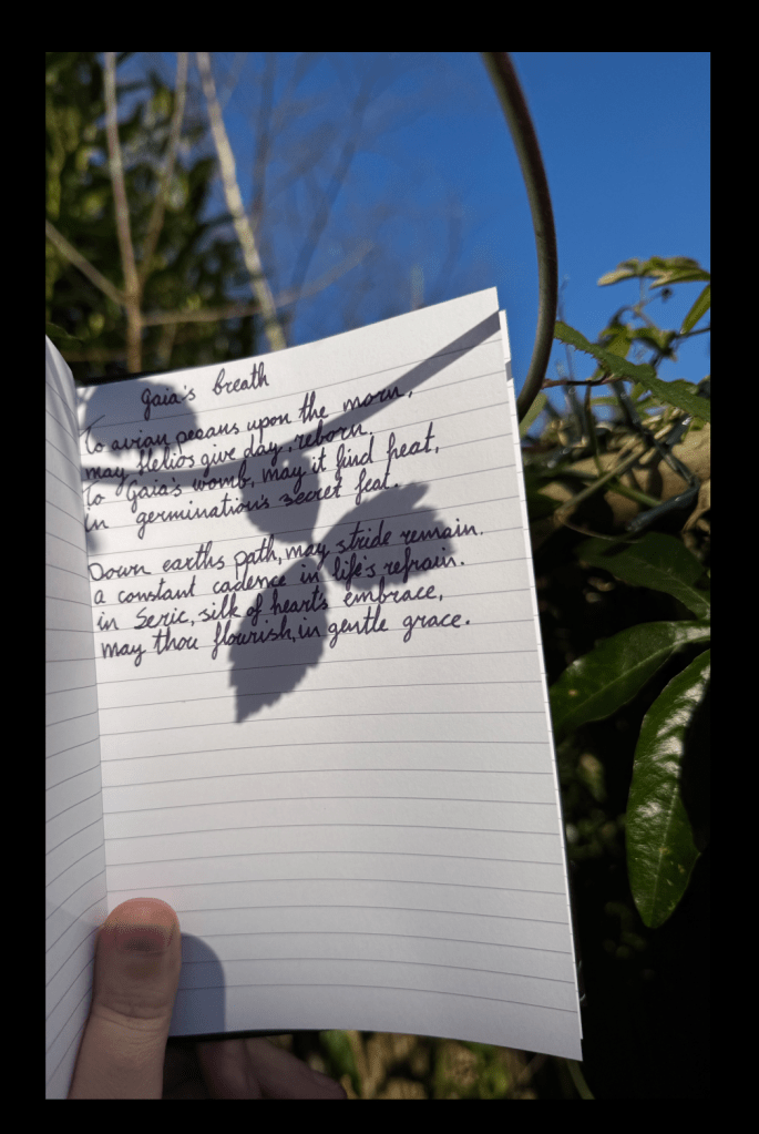 Notebook with handwritten text, same as the post held up in the sunshine, so a couple of leaves cast a shadow on the page. 